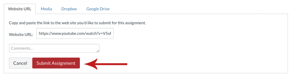 Illustration of "Submit Assignment" button at the bottom of the submission type tabs list.