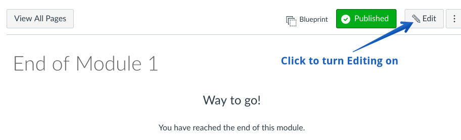 Screenshot of Edit button on Canvas Page