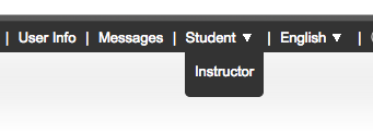 Role toggle in TurnitIn interface