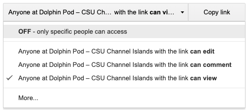 Sharing options in CI Docs