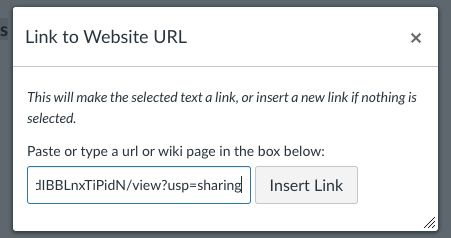 Link to Website URL window in Canvas