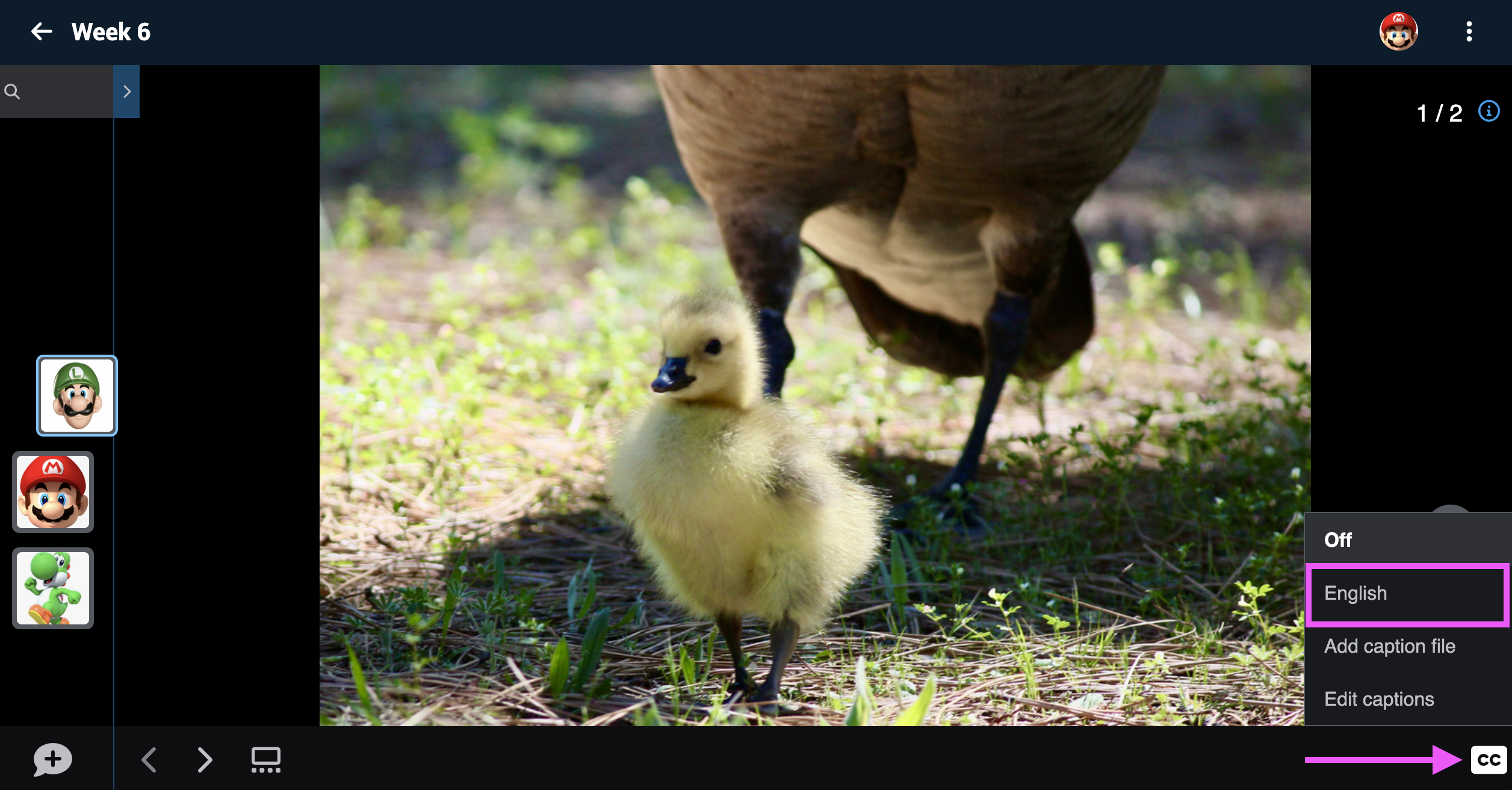 VoiceThread caption toggle in lower right corner