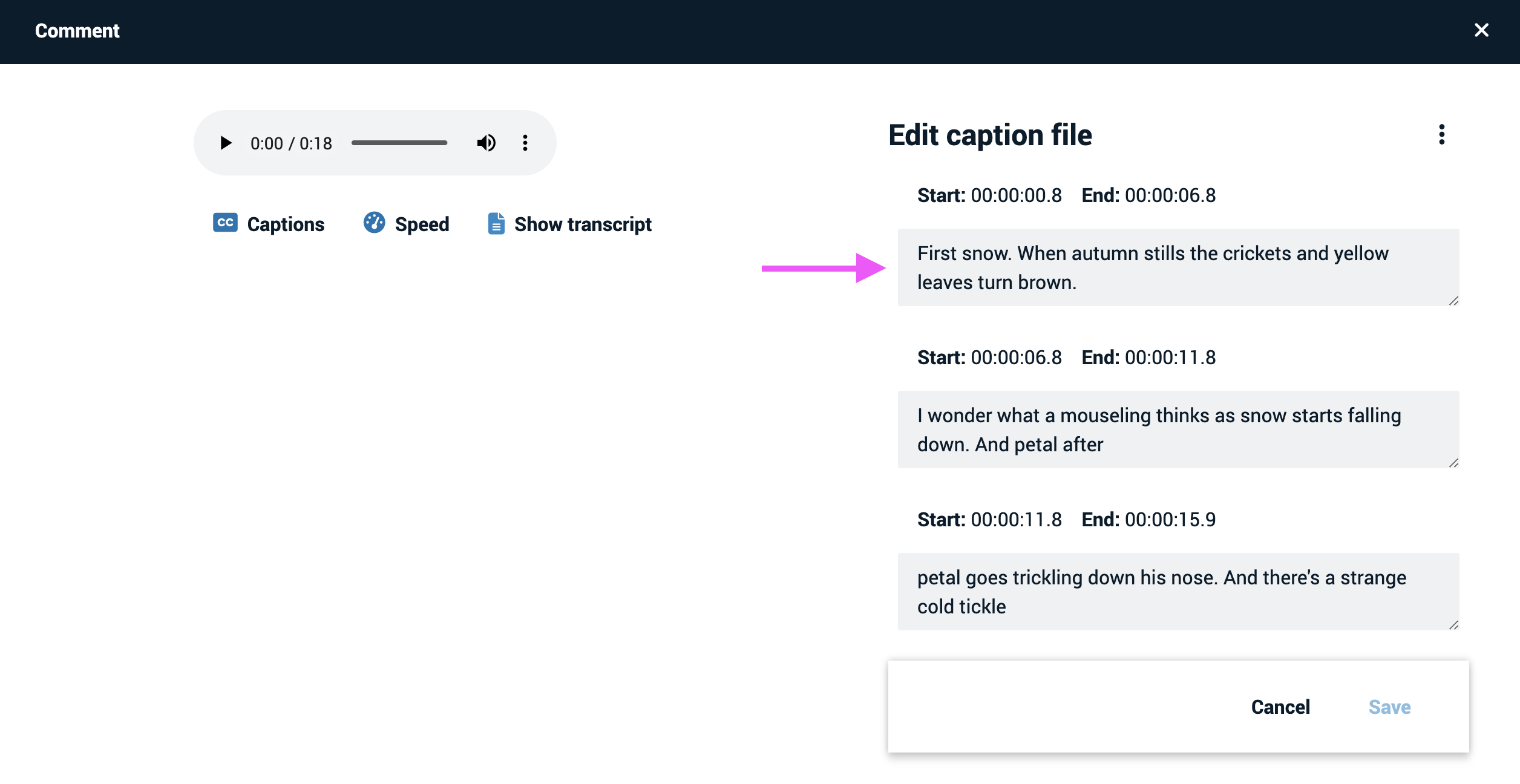 Edit caption file window in VoiceThread