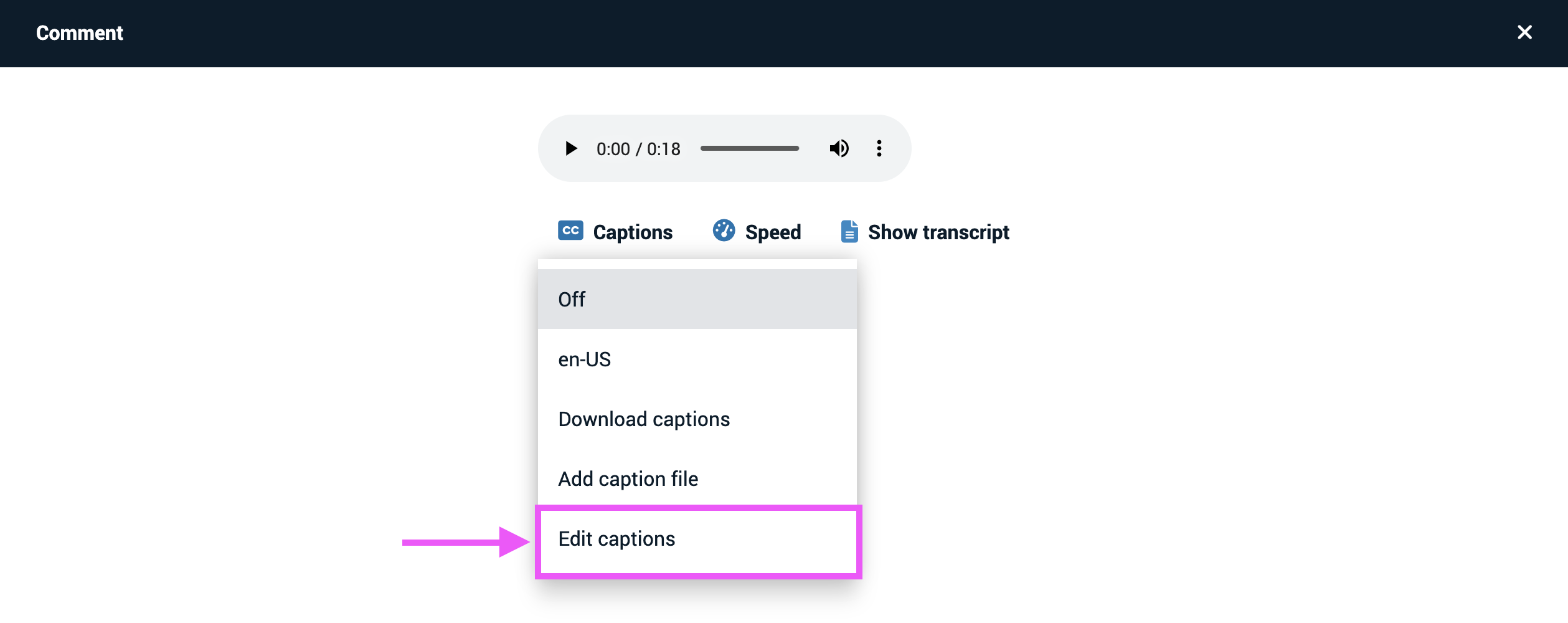 Edit captions option for a VoiceThread Comment