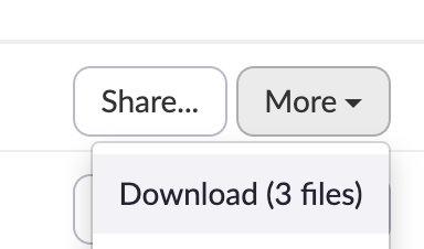 More button expanded to show the download option for a Zoom cloud recording