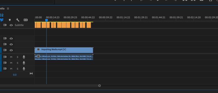 Timeline showing yellow tracks that are the captions once captions have been created.