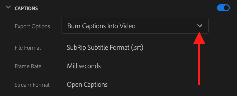 Captions settings in the export window. A red arrow pointing to a drop down menu