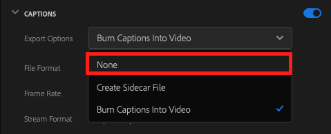 A red box highlighting the option 'none' within the drop down menu of the caption settings