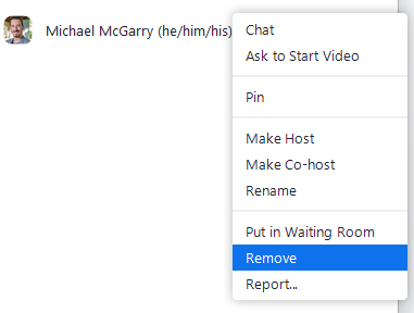 Screenshot highlighting the remove participant option in a Zoom meeting