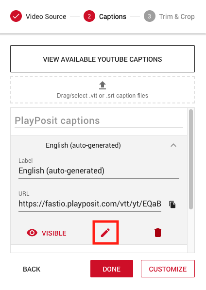 Screenshot of captioning window highlighting pencil icon at the bottom center of the screen.